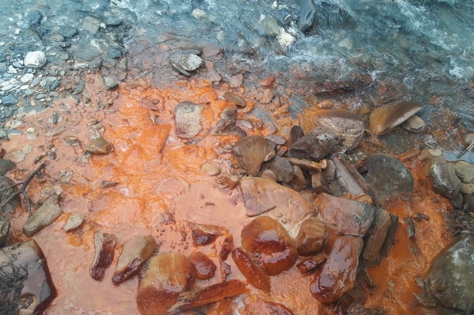 Source Ulrich (oua_39450973_image)