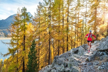 Trail runners on the Via Engiadina