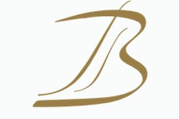 Logo Blaesi Immobilien