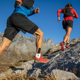 Circuit bas Segnesboden (oua_39717800_image)