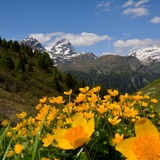 Marmorera - Alp Flix - Rona (oua_39779025_image)