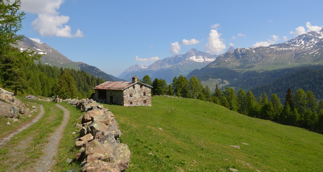 Alpleben über dem Marmorerasee (Bivio - Sur Ragn - Pra Miez - Marmorera) (oua_39799108_image)