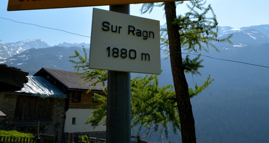 Alpleben über dem Marmorerasee (Bivio - Sur Ragn - Pra Miez - Marmorera) (oua_39799224_image)