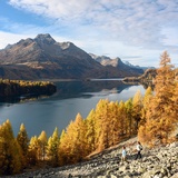 Via Engiadina mit Blick auf den Piz da la Margna