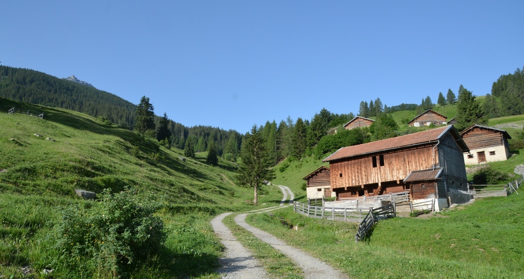 Savognin - Parseiras - Got Grond - Motta Tscharnoz - Alp Tarvisch - Savognin (oua_39847226_image)