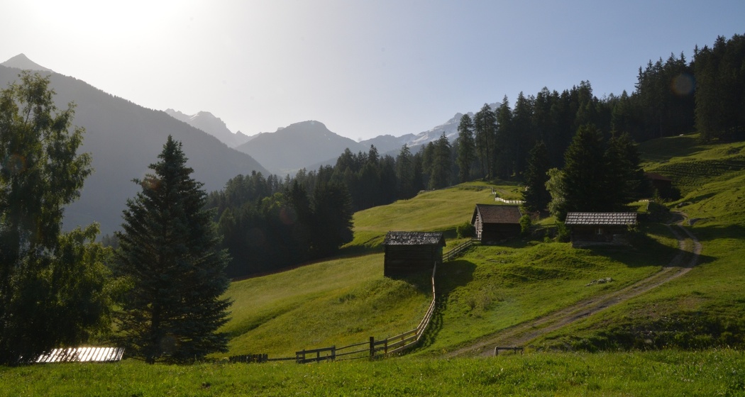 Savognin - Parseiras - Got Grond - Motta Tscharnoz - Alp Tarvisch - Savognin (oua_39847277_image)