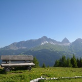 oua (39847371)