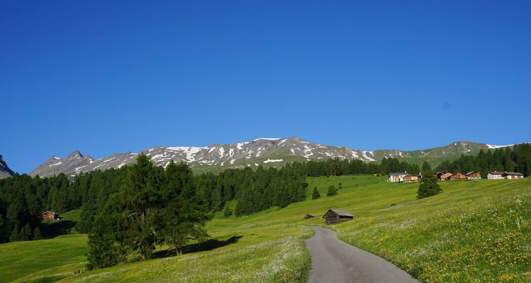 Munter - Ziteil - Stierva (oua_39949378_image)