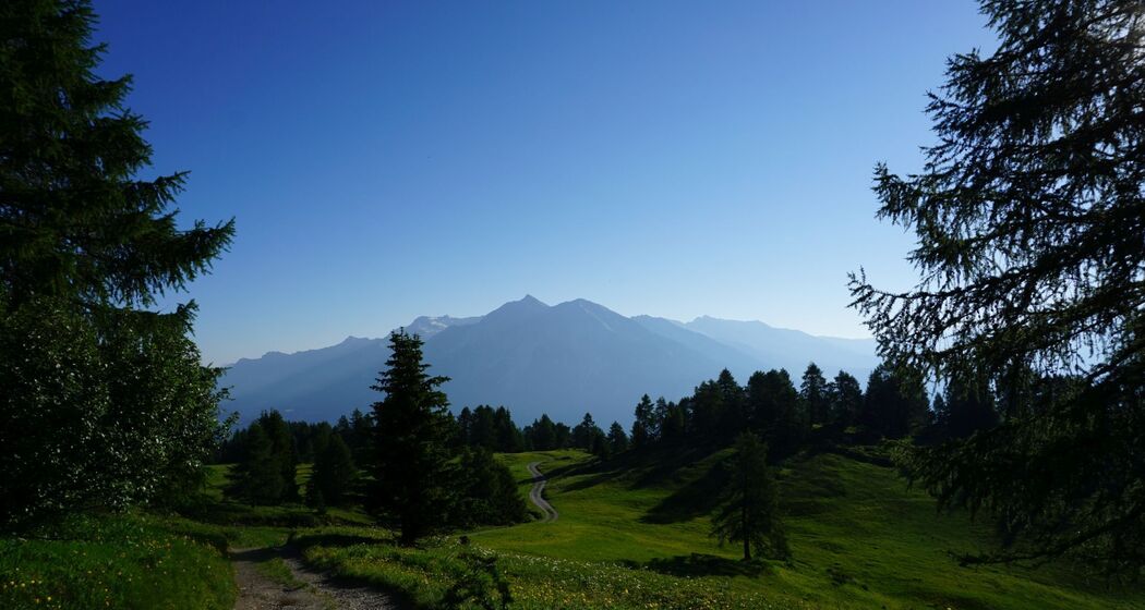 Munter - Ziteil - Stierva (oua_39949384_image)