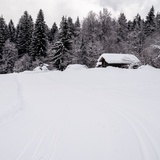 Pista di sci di fondo Flims Conn (oua_40114219_image)