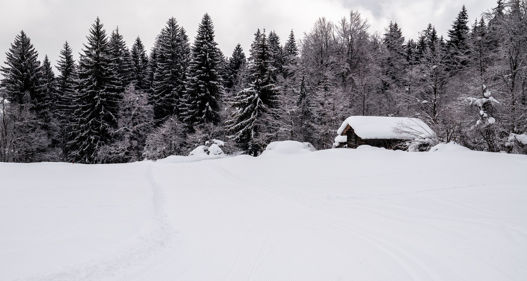 Langlaufloipe Flims Conn (oua_40114219_image)