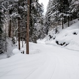 Pista di sci di fondo Flims Conn (oua_40114221_image)