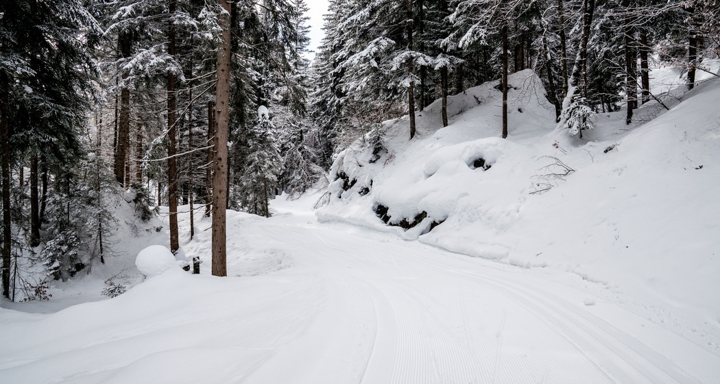 Langlaufloipe Flims Conn (oua_40114221_image)