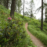Helsana-Trail-Davos (Strecke gelb) (oua_40114429_image)