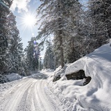 K1 Kulinarik Trail "Forêt & Hiver" (oua_40246582_image)
