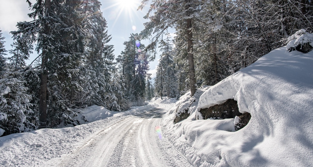K1 Kulinarik Trail "Wald & Winter" (oua_40246582_image)