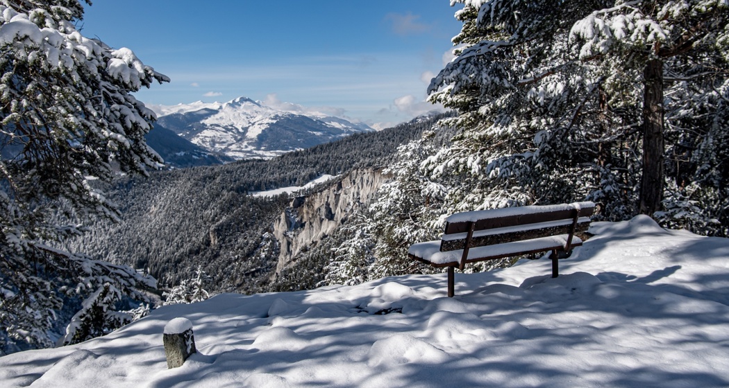 K1 Kulinarik Trail "Wald & Winter" (oua_40246609_image)