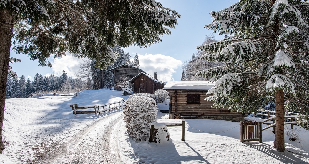 K1 Kulinarik Trail "Wald & Winter" (oua_40246650_image)