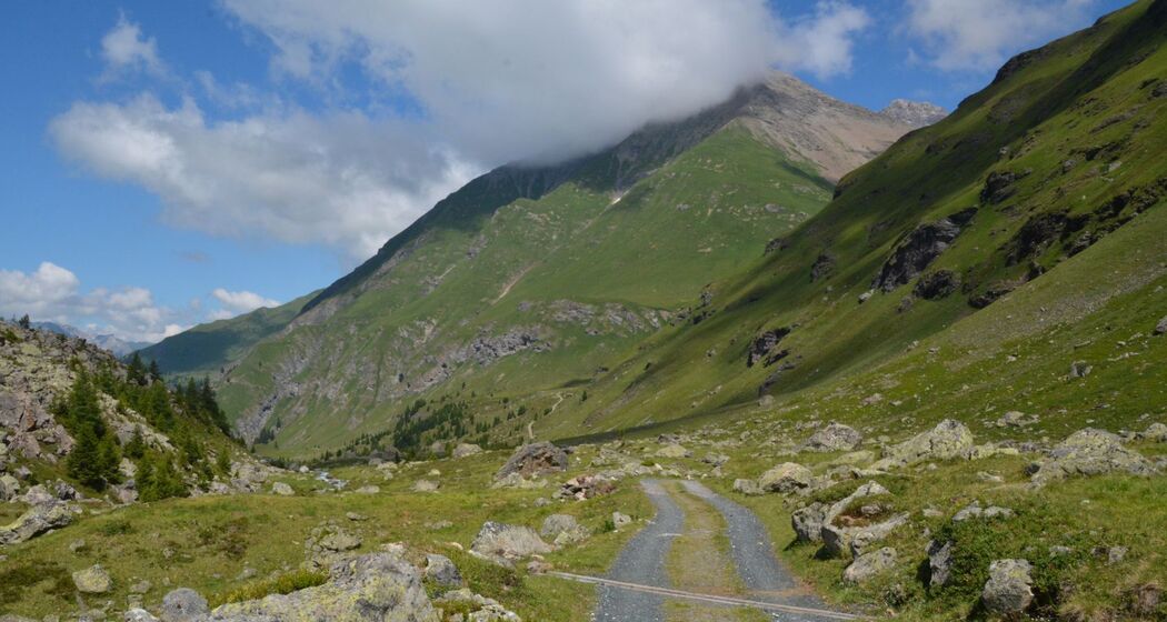 Val d'Err E-Bike Tour (oua_40350455_image)