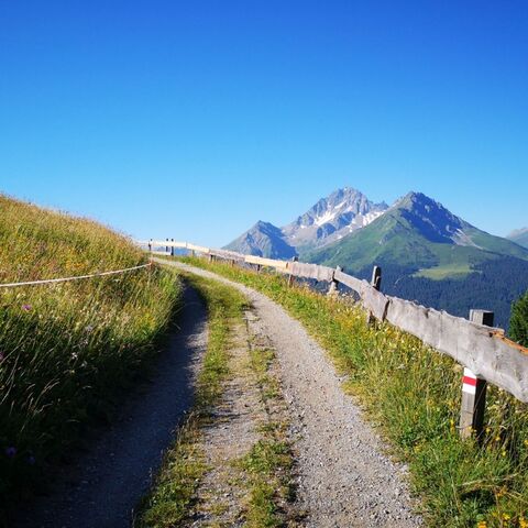 Wanderung zur Alp Tussagn (oua_40437488_image)