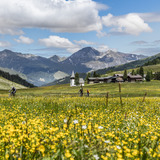 647 Rinerhorn / Sertig (E-MTB tauglich) (oua_40519044_image)