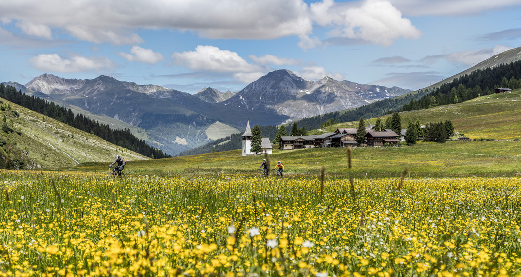 647 Rinerhorn / Sertig (E-MTB tauglich) (oua_40519044_image)