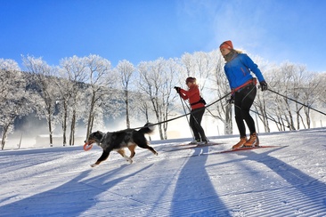 D'Höf (Hundeloipe) (oua_40631439_image)