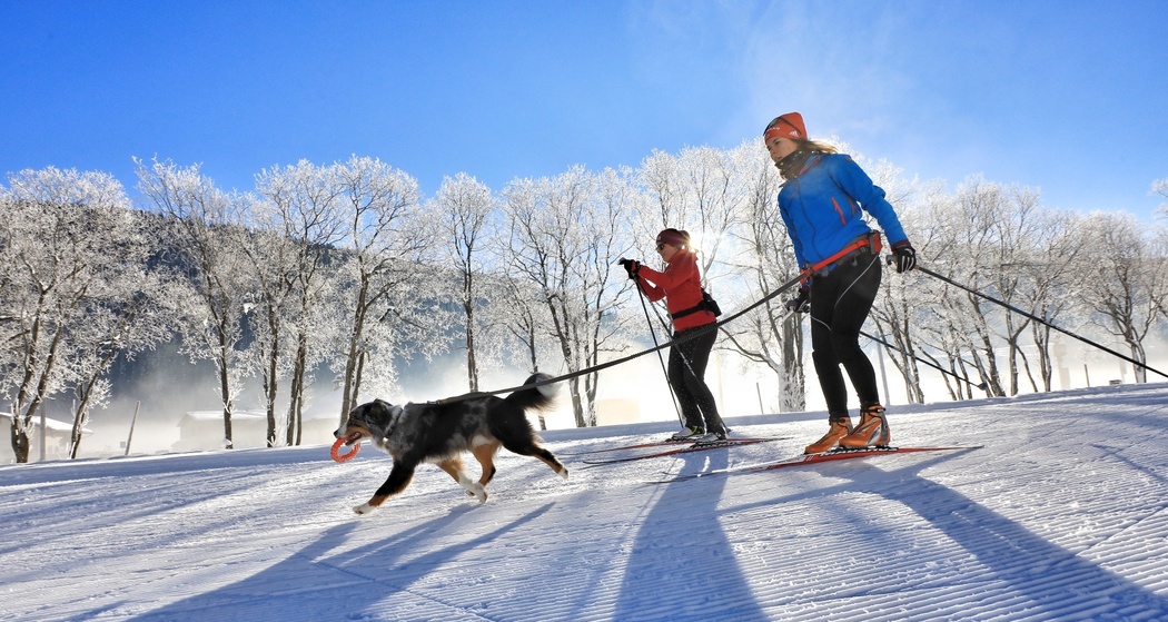 D'Höf (Hundeloipe) (oua_40631439_image)