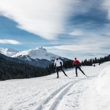 Garfiuner Roller Coaster (oua_40631516_image)