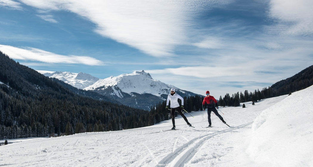 Garfiuner Roller Coaster (oua_40631516_image)