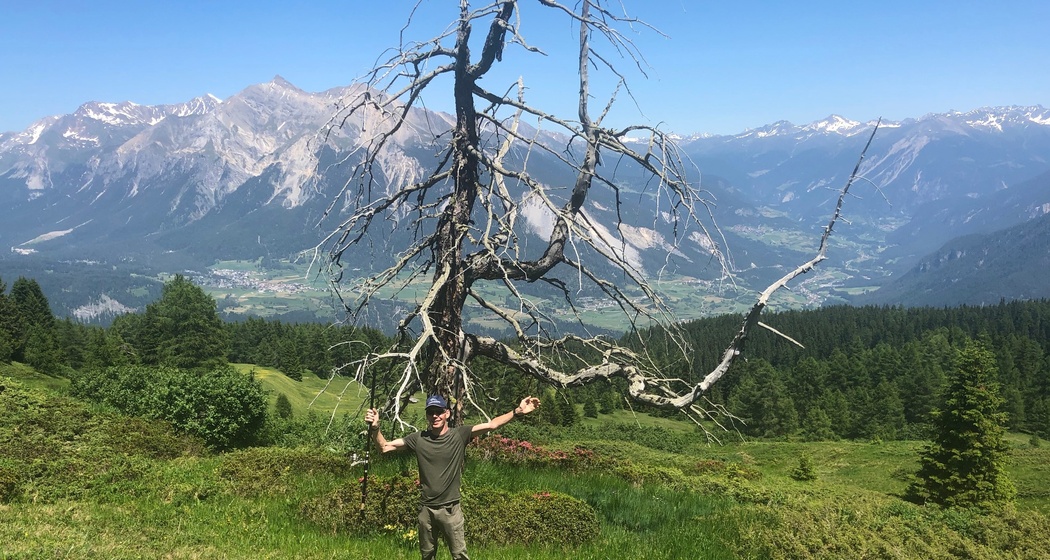 Tigia Alp Stierva (oua_40796920_image)