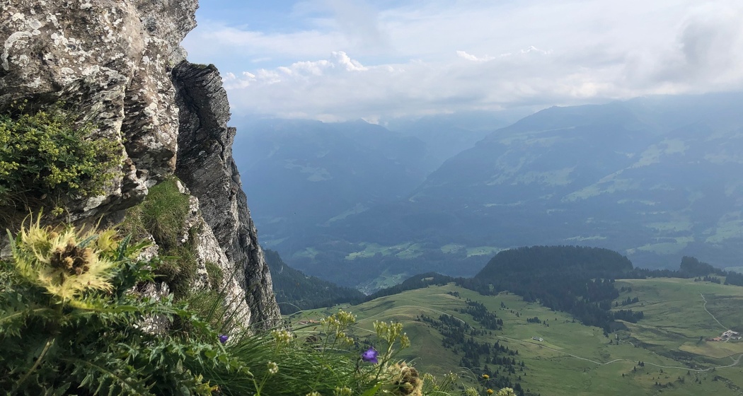 Aussicht vor dem Anstieg über die Holzleiter.