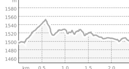 Ninos Gold-Trail (oua_40914614_1fc5bfd_profile)