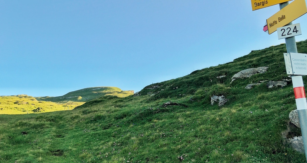 Bahnentour Flimserstein: Cassons - Milchseilbahn (oua_40916790_image)