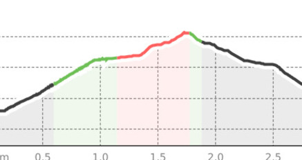 Celerina - Cristolais - Samedan (oua_41043704_3cebe1a_profile)
