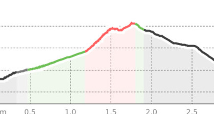 Celerina - Cristolais - Samedan (oua_41043704_e17b1e5_profile)