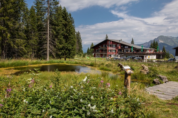 Malixerhof Brambrüesch im Sommer