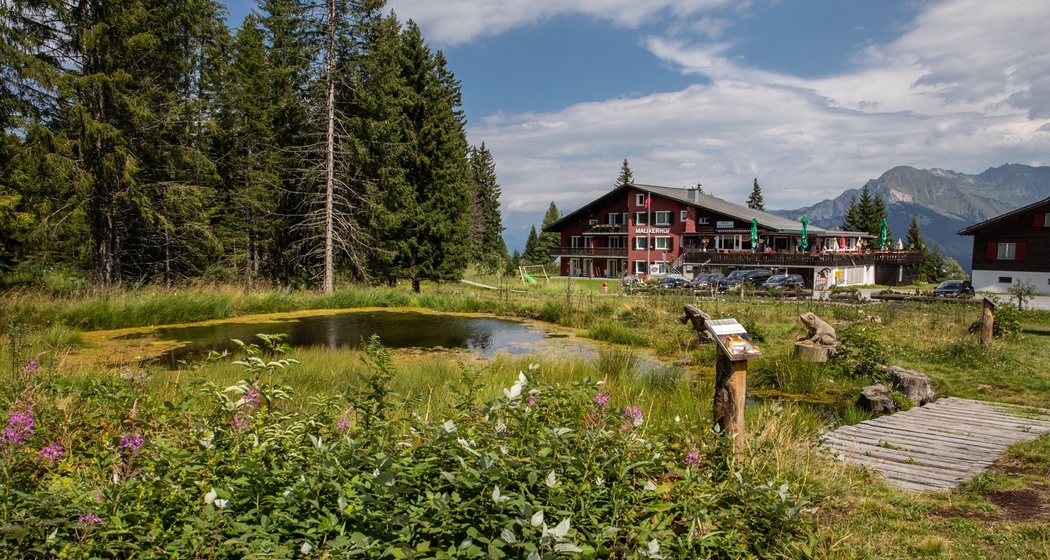Malixerhof Brambrüesch im Sommer