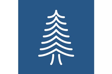 Die 200-jährige Fichte