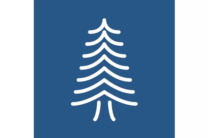 Die 200-jährige Fichte