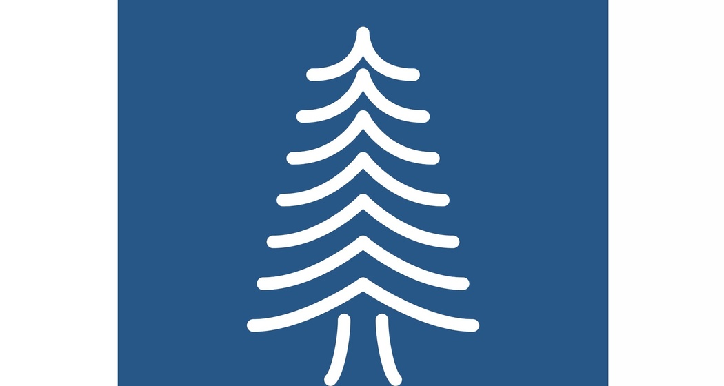 Die 200-jährige Fichte