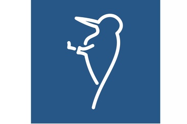 Totholz und alte Bäume