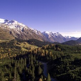 oua (41504770)