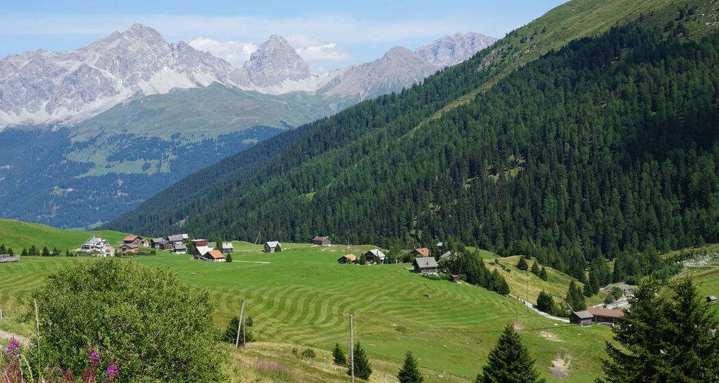 Radons - Ausserferrera (oua_41506502_image)