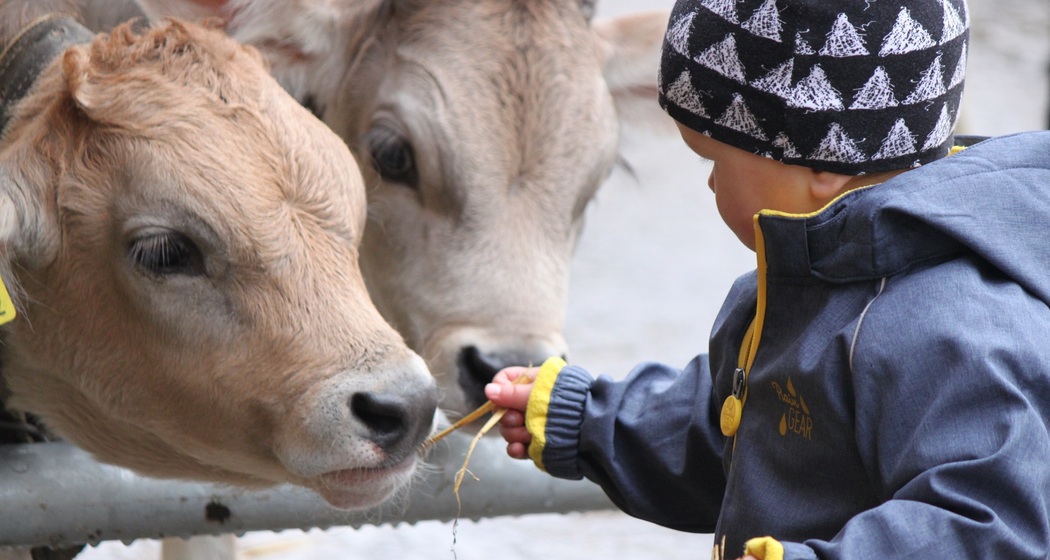 Hofladen Güdahof Tschiertschen