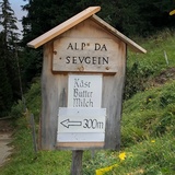 Abzweigung zur Alp da Sevgein bei Punkt 1786. Hier beginnt der trailige Teil der Strecke