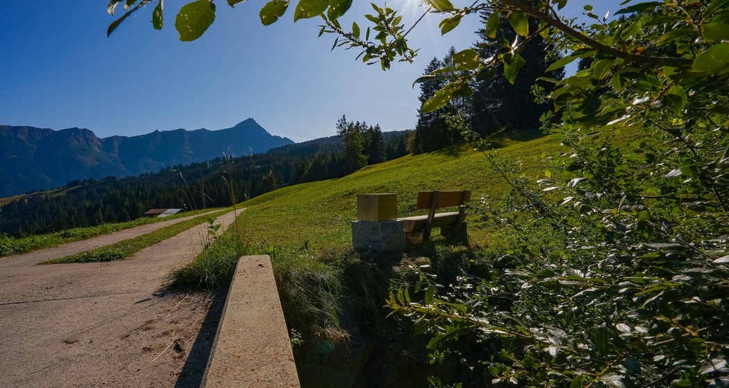 Lesebänkli mit Piz Beverin