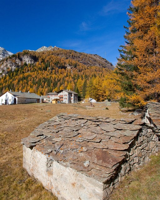 Cavaglia