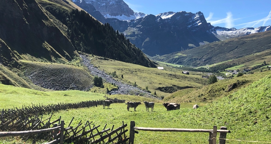 Blick vom Start in Safien Thalkirch in Richtung Wisshorn