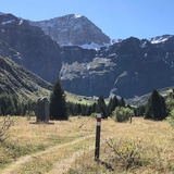 With a view of the Wisshorn